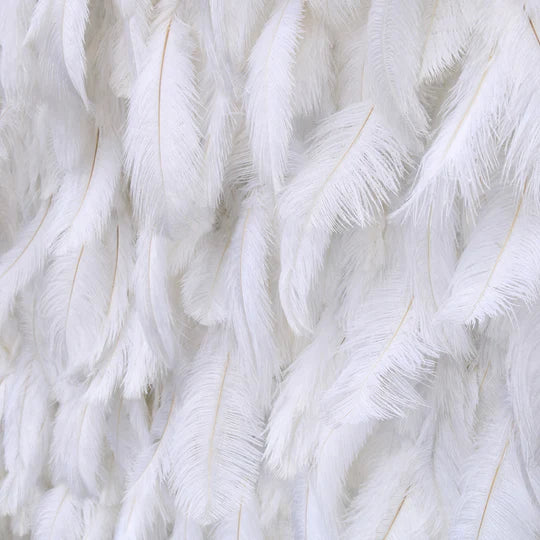 White Feather Wall
